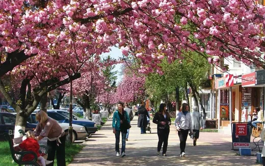 ВІП відпочинок