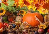 Осенние фестивали в Закарпатье