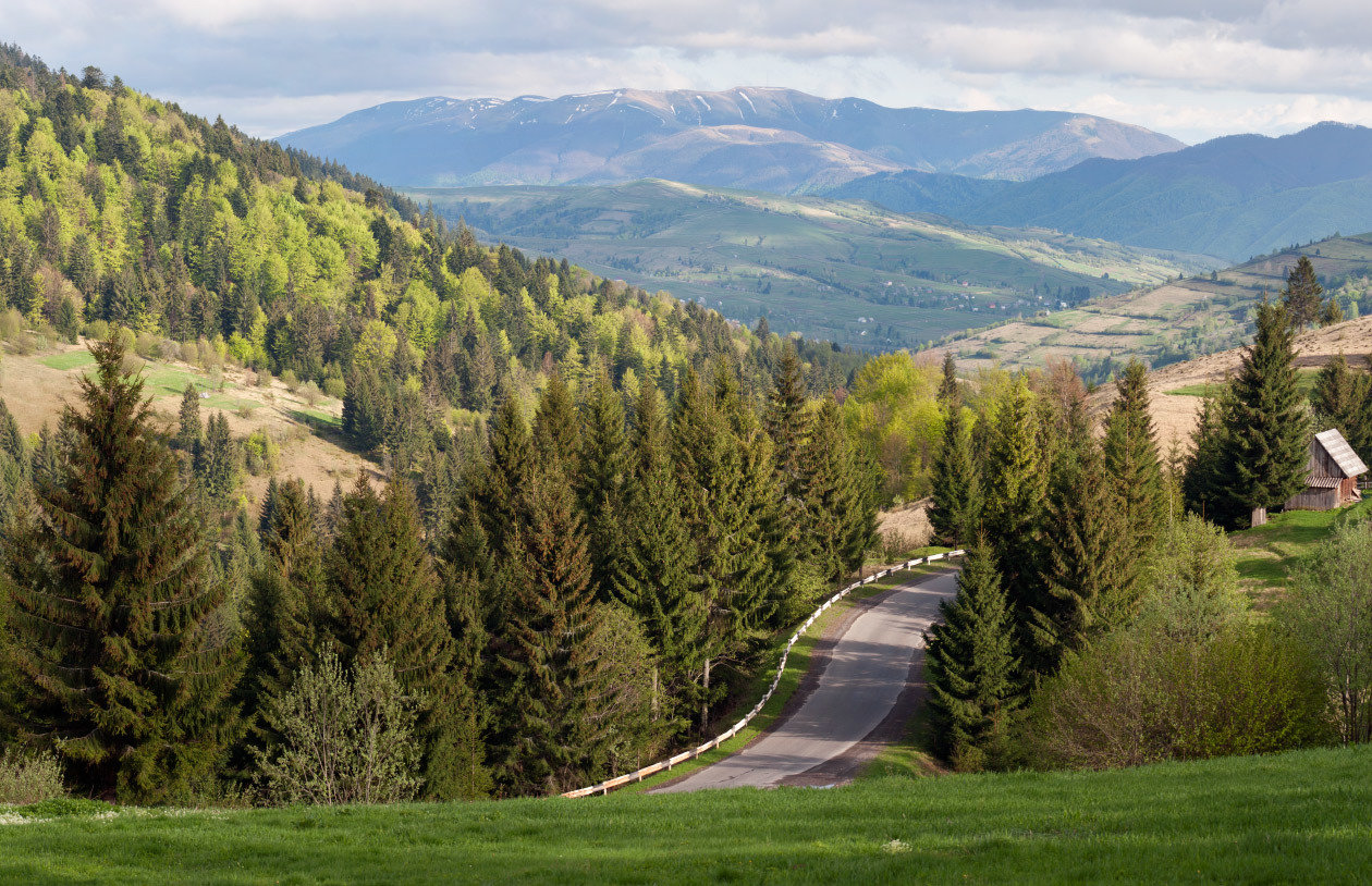 Відпочинок в серці Міжгірщини - фото 2