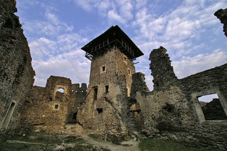 невицкий замок