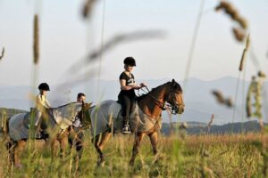 Екскурсія з фотографом по Карпатах