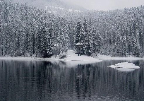 Зимние каникулы в Закарпатье