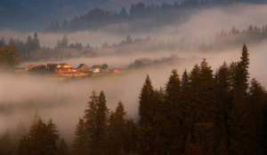 відновлення в Карпатах