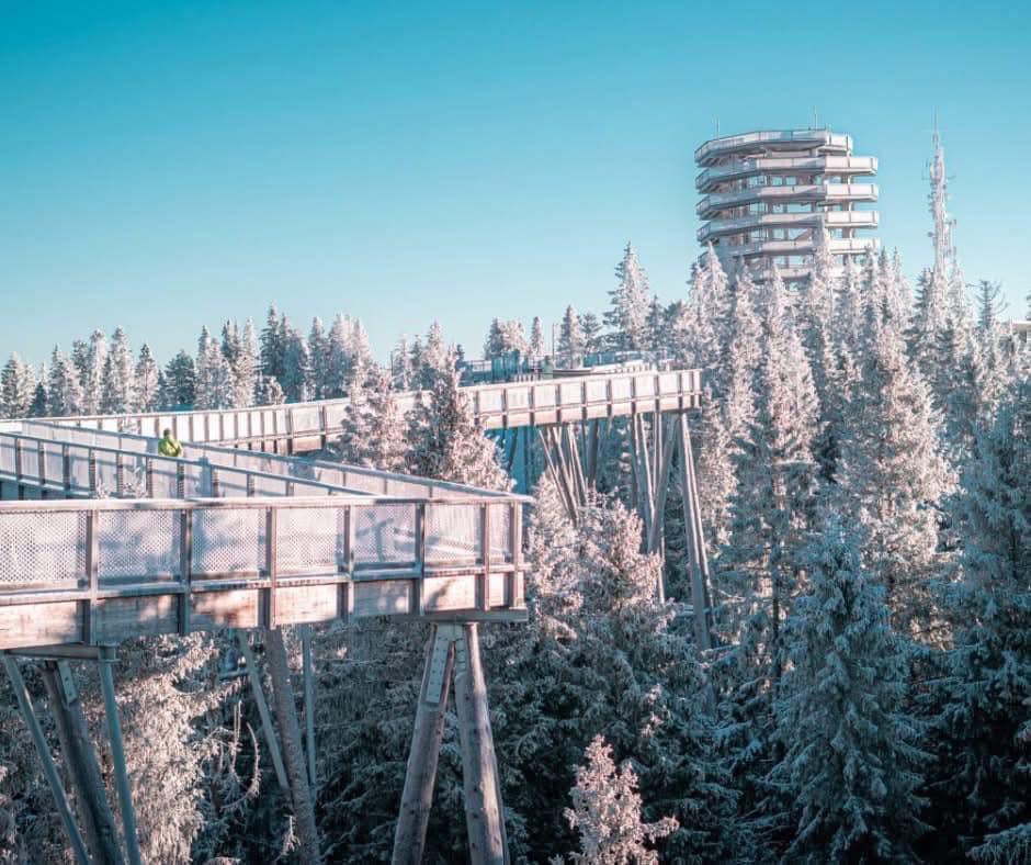 Тур в Словаччину Бахледка