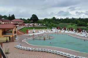 жайворонок Берегово