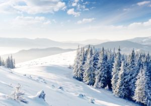 Зимний отдых в Закарпатье